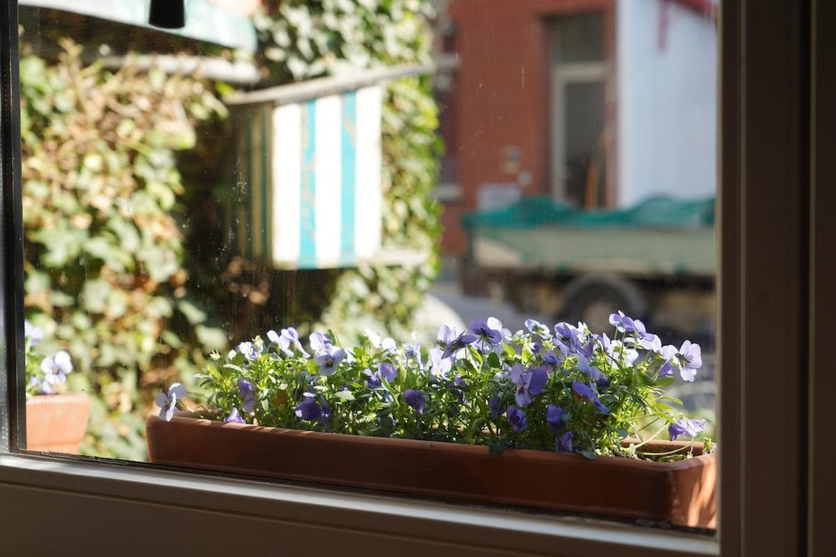 Renovated Appt In Ostende 20Min From Bruges エクステリア 写真